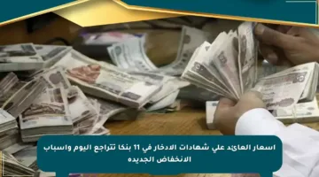 أسعار العائد على شهادات الادخار في 11 بنكا تتراجع اليوم وأسباب الانخفاض الجديدة